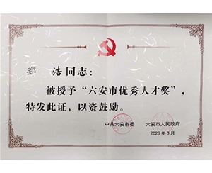 鄭浩六安市優(yōu)秀人才獎
